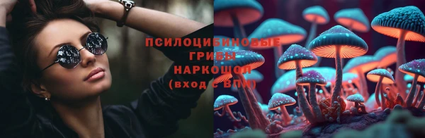 не бодяженный Надым