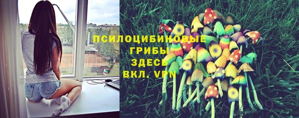 прущая мука Наволоки