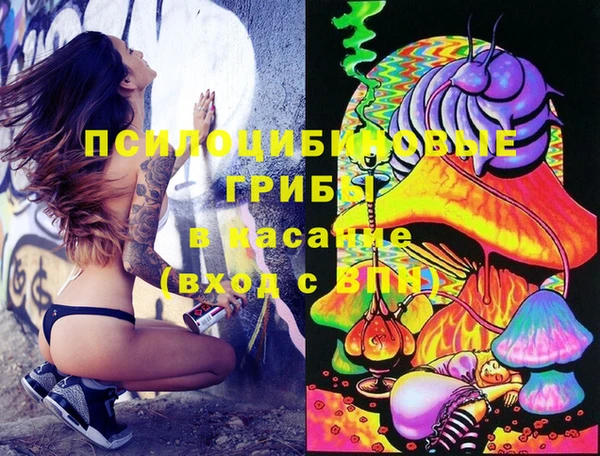 тгк Навашино