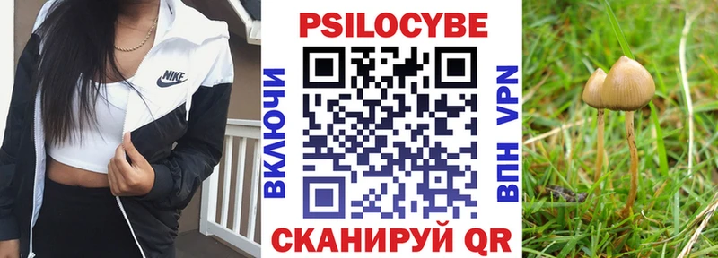 где продают   Первомайск  Псилоцибиновые грибы MAGIC MUSHROOMS 