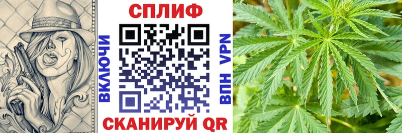 наркота  Первомайск  Бошки Шишки планчик 